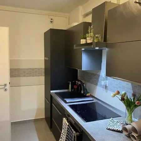 Mara Apartament Apartment Timisoara